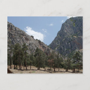 Blick auf Delphi, Griechenland Postkarte