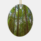 Blick auf den alten Wachstumswald Keramik Ornament (Rechts)