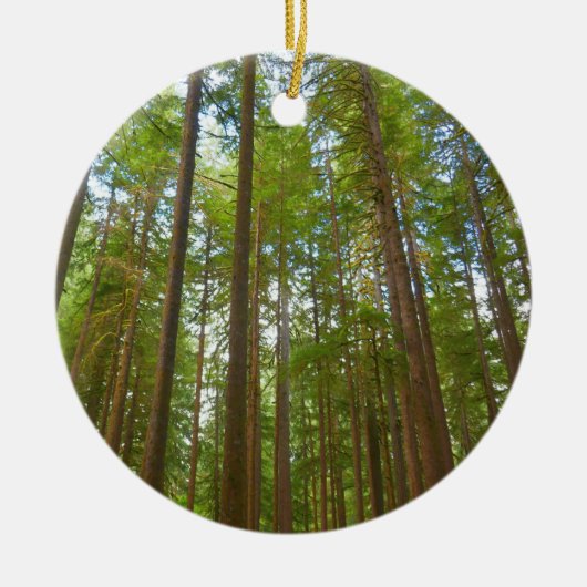 Blick auf den alten Wachstumswald Keramik Ornament (Vorne)