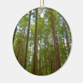 Blick auf den alten Wachstumswald Keramik Ornament (Links)