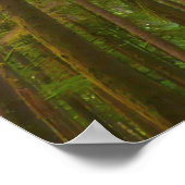 Blick auf den alten Wachstumswald Poster (Ecke)