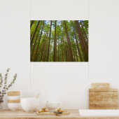 Blick auf den alten Wachstumswald Poster (Küche)