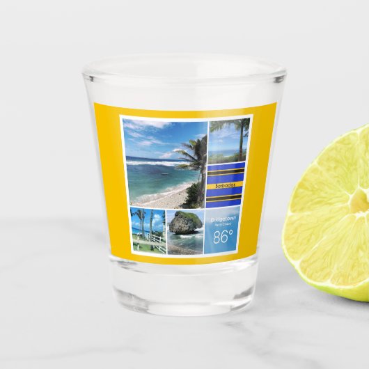 Blick auf den Barbados-Ozean Schnapsglas (Vorderseite)