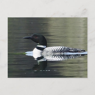 Blick auf den Bergsee Postkarte