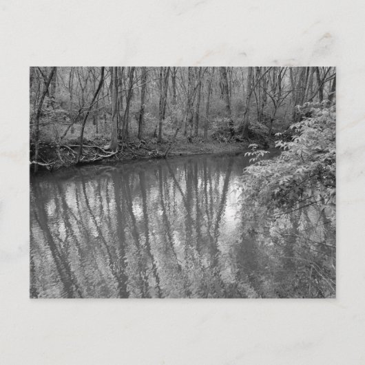 Blick auf den Fluss Postkarte (Vorderseite)