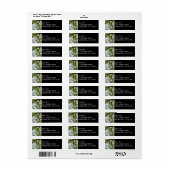 Blick auf den Frühlingsblütenbaum (Vorne)