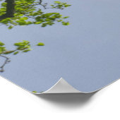 Blick auf den Frühlingsblütenbaum Poster (Ecke)