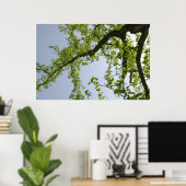 Blick auf den Frühlingsblütenbaum Poster (Heimbüro)