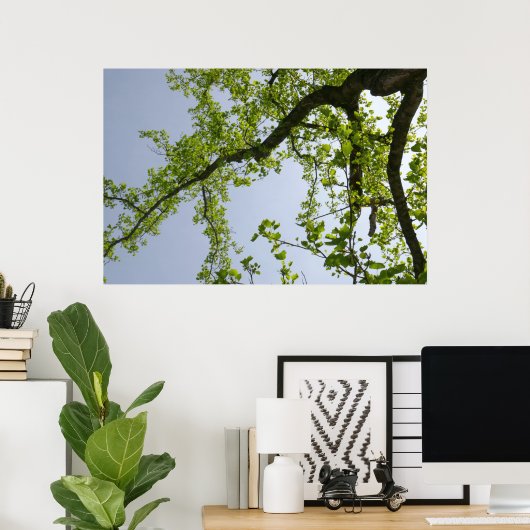 Blick auf den Frühlingsblütenbaum Poster (Heimbüro)