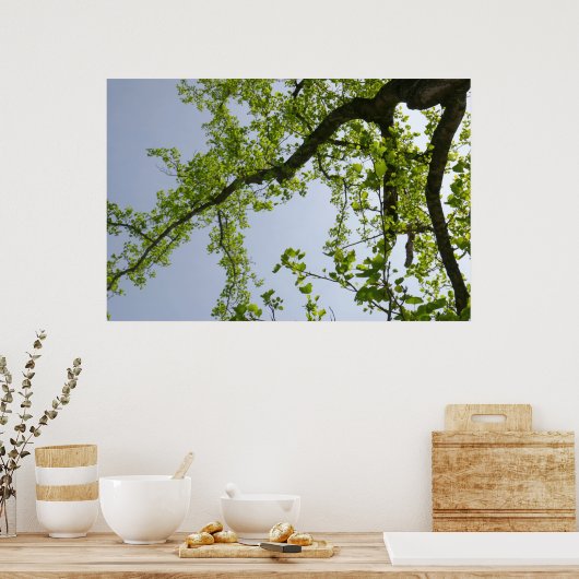 Blick auf den Frühlingsblütenbaum Poster (Küche)