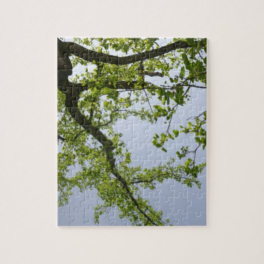 Blick auf den Frühlingsblütenbaum Puzzle (Vertikal)