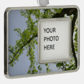 Blick auf den Frühlingsblütenbaum Rahmen-Ornament Silber (Rechts)