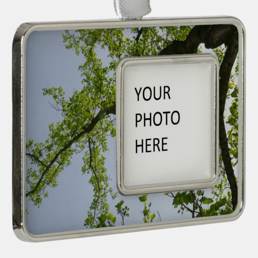 Blick auf den Frühlingsblütenbaum Rahmen-Ornament Silber (Rechts)