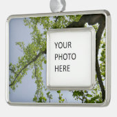 Blick auf den Frühlingsblütenbaum Rahmen-Ornament Silber (Links)