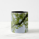 Blick auf den Frühlingsblütenbaum Zweifarbige Tasse (Mittel)