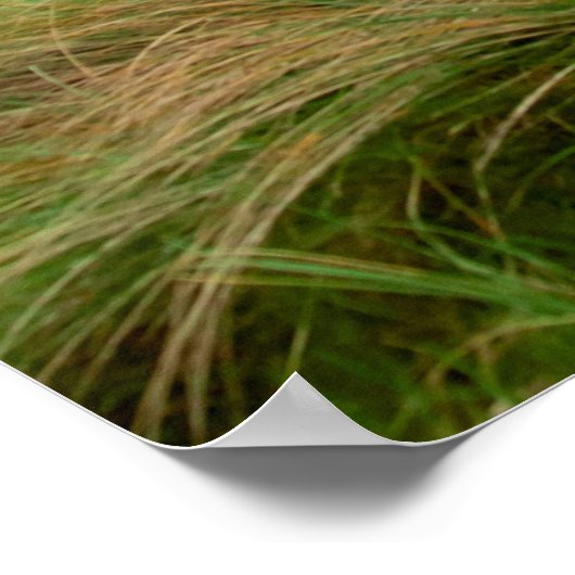 Blick auf den Golfplatz Ballybunion Poster (Ecke)