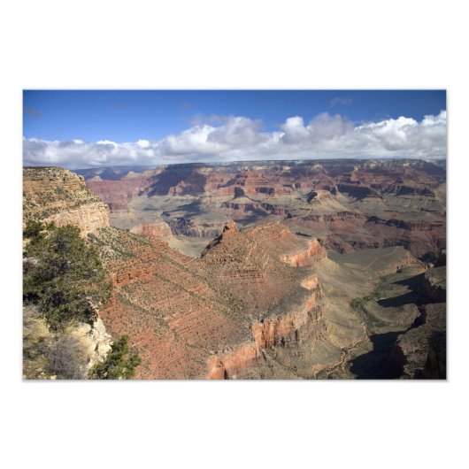 Blick auf den Grand Canyon, Arizona, Fotodruck (Vorne)