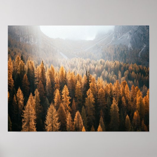 Blick auf den Herbst mit gelben Larven Poster (Vorne)