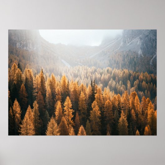 Blick auf den Herbst mit gelben Larven Poster (Vorne)