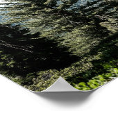 Blick auf den Kings Canyon im Sierra Nevada Wald Poster (Ecke)