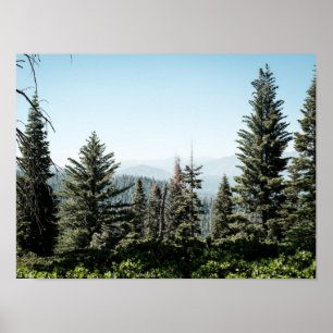 Blick auf den Kings Canyon im Sierra Nevada Wald Poster
