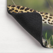 Blick auf den Leoparden-Schwanz (Panthera pardus), Mousepad (Ecke)