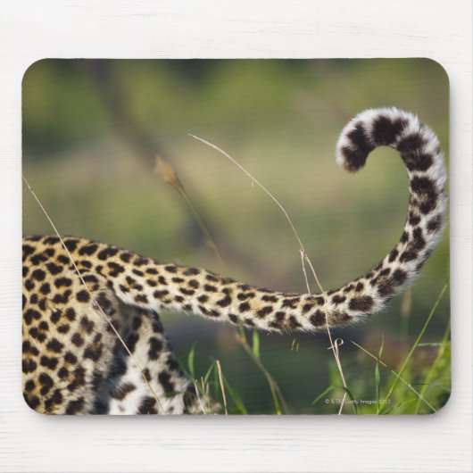 Blick auf den Leoparden-Schwanz (Panthera pardus), Mousepad (Vorne)