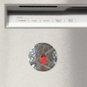 Blick auf den männlichen Kardinal Magnet (In Situ (Geschirrspüler))