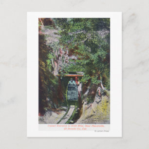 Blick auf den Miner Exiting Tunnel Eingang in Gold Postkarte