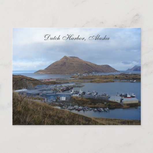 Blick auf den niederländischen Hafen Alaska Postkarte (Vorderseite)