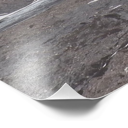 Blick auf den Rainier Fotodruck (Ecke)