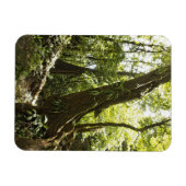 Blick auf den Regenwald, Dominica Magnet (Horizontal)