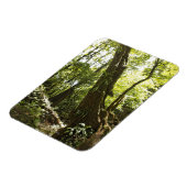 Blick auf den Regenwald, Dominica Magnet (Linke Seite)