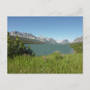 Blick auf den Swiftcurrent Lake im Glacier-Nationa Postkarte