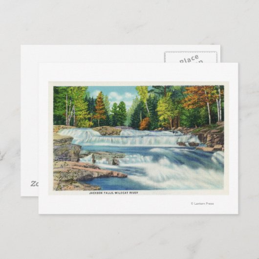 Blick auf den Wilden Cat River und die Jackson Fal Postkarte (Vorne/Hinten)