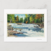 Blick auf den Wilden Cat River und die Jackson Fal Postkarte (Vorderseite)