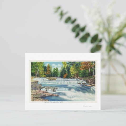 Blick auf den Wilden Cat River und die Jackson Fal Postkarte (Stehend Vorderseite)