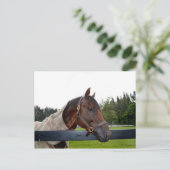 Blick auf den Zaun Postkarte (Stehend Vorderseite)