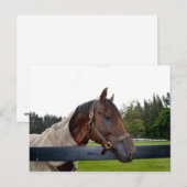 Blick auf den Zaun Postkarte (Vorne/Hinten)