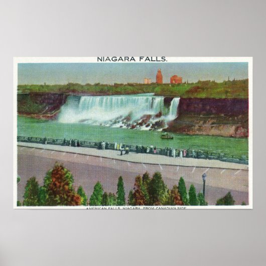 Blick auf die amerikanischen Falls & Coast Poster (Vorne)