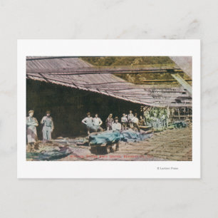 Blick auf die Arbeiter im Spatenbruch von Eureka Postkarte