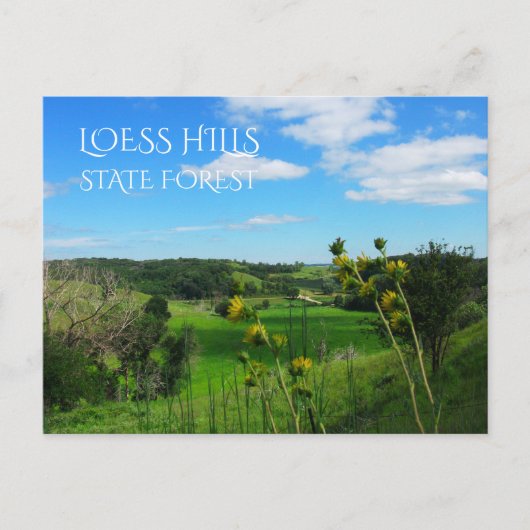 Blick auf die Aussicht, Loess Hills Staat Forest, Postkarte (Vorderseite)