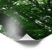 Blick auf die Bäume des Sommers Fotodruck (Ecke)