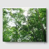 Blick auf die Bäume des Sommers Gästebuch (Rückseite)