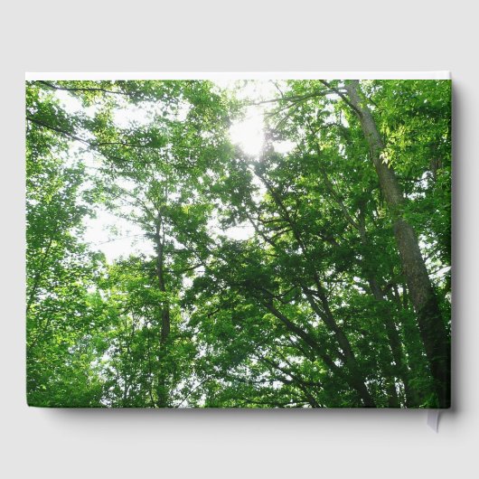 Blick auf die Bäume des Sommers Gästebuch (Rückseite)