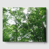 Blick auf die Bäume des Sommers Gästebuch (Rückseite)