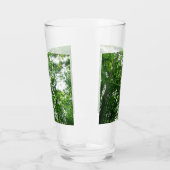 Blick auf die Bäume des Sommers Glas (Links)