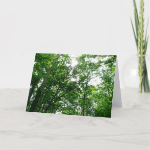 Blick auf die Bäume des Sommers Karte