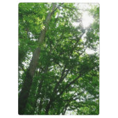 Blick auf die Bäume des Sommers Klemmbrett (Rückseite)