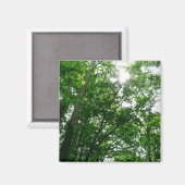 Blick auf die Bäume des Sommers Magnet (Vorderseite/Rückseite)